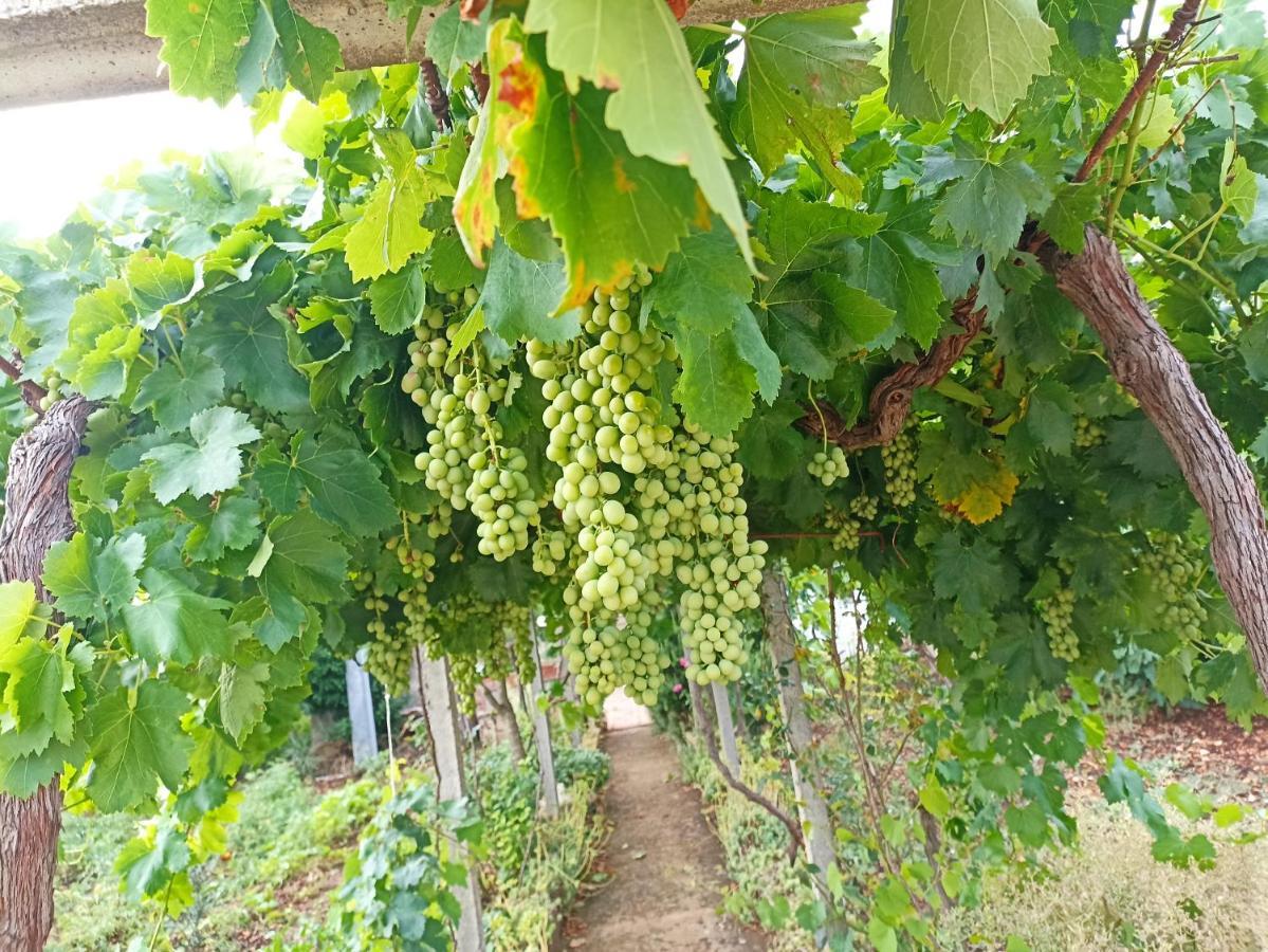 マルティナ・フランカ Trullo22ヴィラ エクステリア 写真